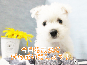 今日から７月！